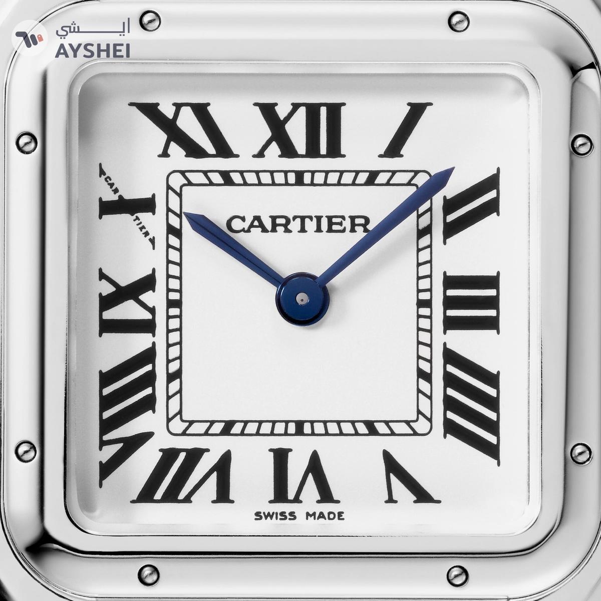 Cartier PANTHÈRE DE CARTIER Steel Medium-6-6