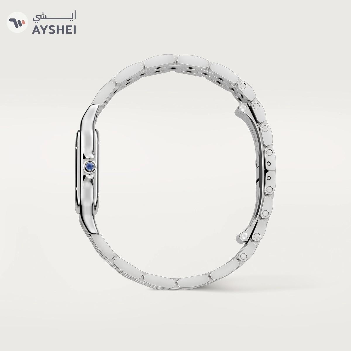 Cartier PANTHÈRE DE CARTIER Steel Medium-1-1