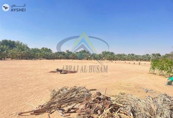FARM FOR SALE IN AL AJBAN