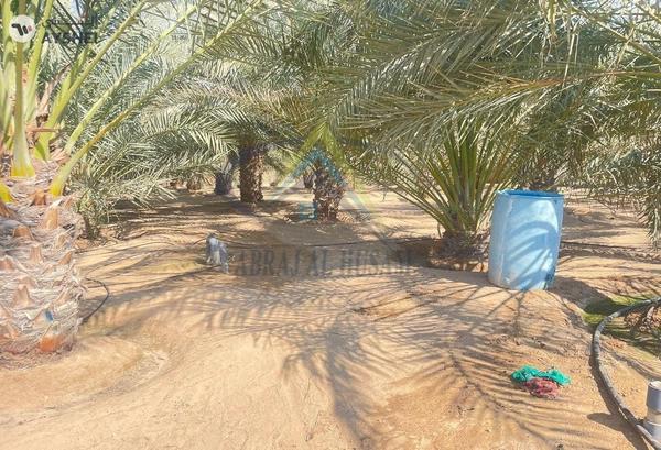 FARM FOR SALE IN AL KHATIM