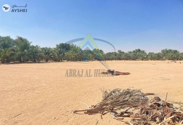 FARM FOR SALE IN AL KHATIM
