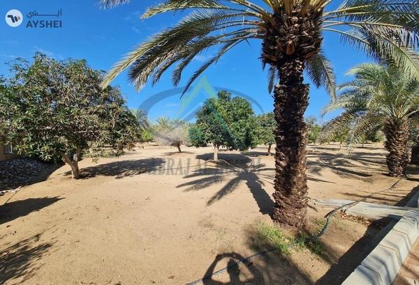 FARM FOR SALE IN AL KHATIM