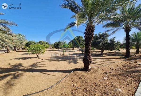 FARM FOR SALE IN AL KHATIM