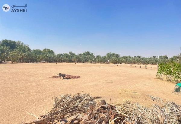 FARM FOR SALE IN AL SAMHA