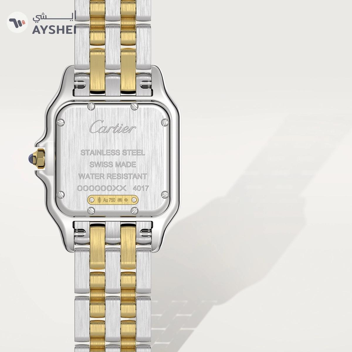 Cartier Panthere de Cartier Medium Steel & yellow gold-5-5