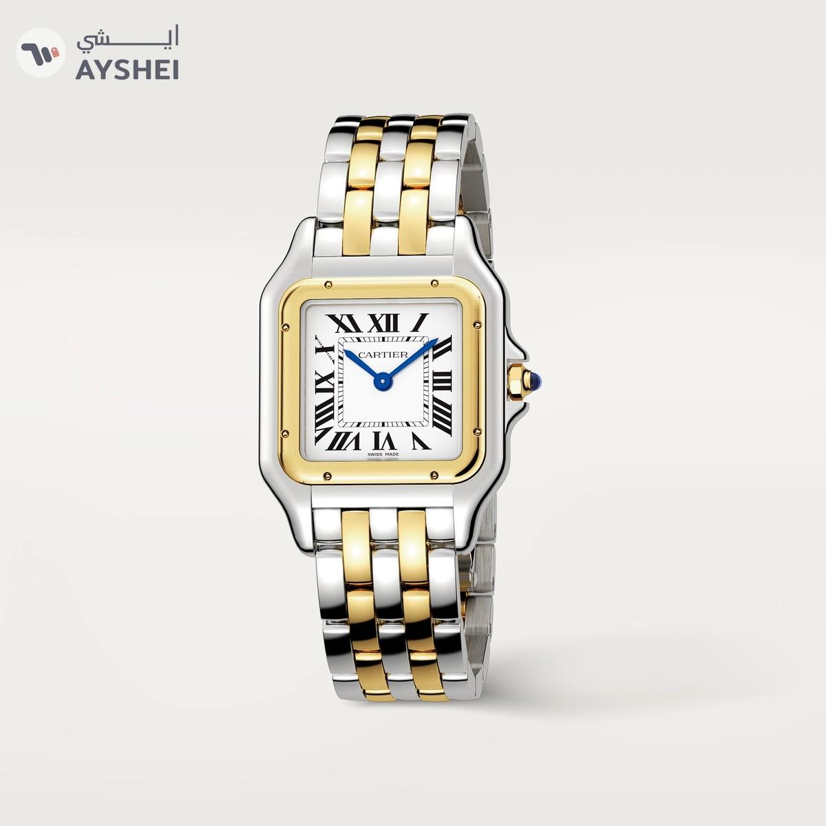 Cartier Panthere de Cartier Medium Steel & yellow gold-0-portrait